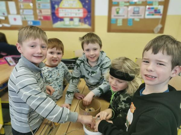 IMG-20250130-WA0019